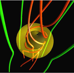 Alfven wave activation by a rotating black hole.