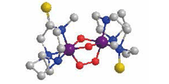 Single Crystal X-Ray Autoanalysis