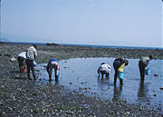 Program for Biological Sciences