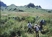 Program for Biological Sciences